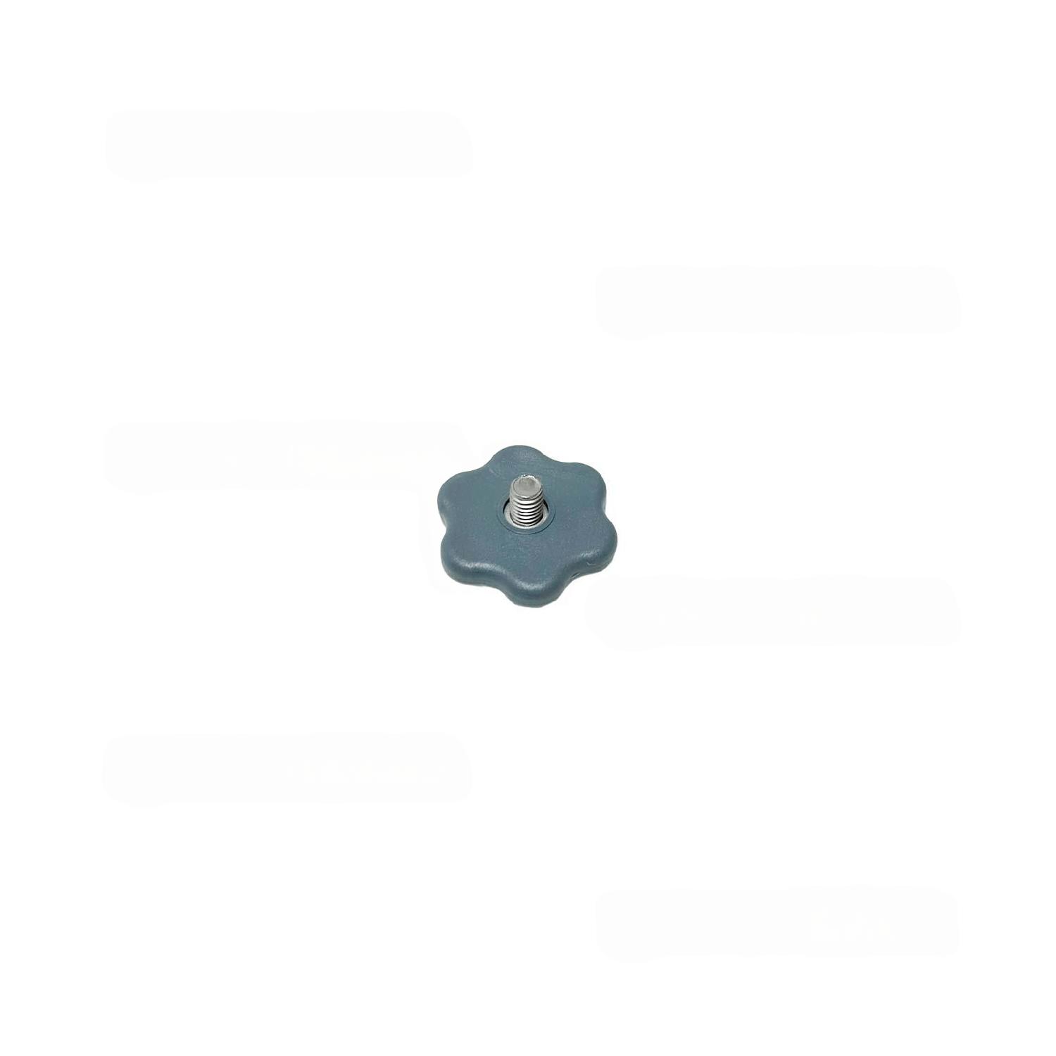 Винт SILANOS 902880